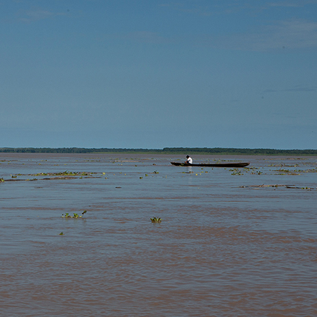 AMAZONAS 14 rio mosaico galeria_MG_3977.jpg